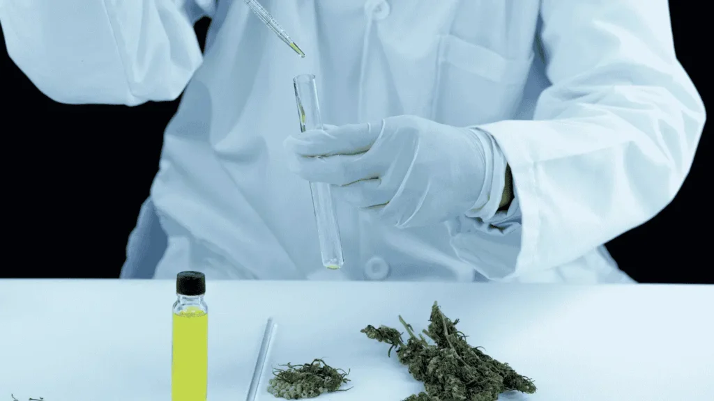 cannabis keywords